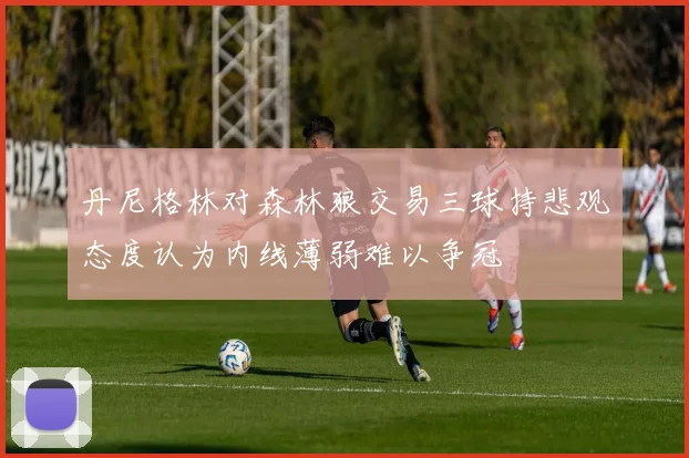 丹尼格林对森林狼交易三球持悲观态度认为内线薄弱难以争冠