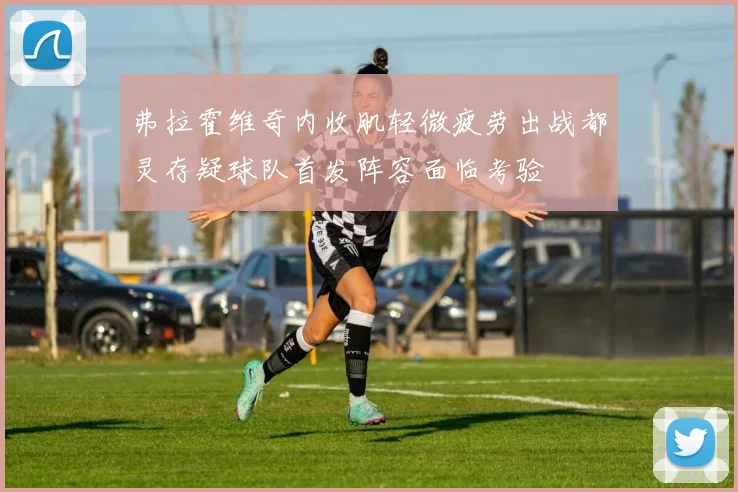 弗拉霍维奇内收肌轻微疲劳出战都灵存疑球队首发阵容面临考验