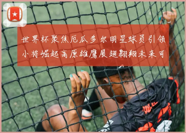 世界杯聚焦厄瓜多尔明星球员引领小将崛起高原雄鹰展翅翱翔未来可期