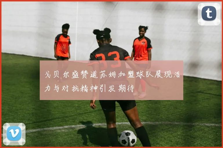 戈贝尔盛赞道苏姆加盟球队展现活力与对抗精神引发期待